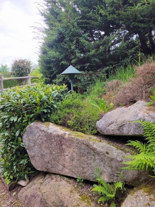 Goutelle, Paisible En Pleine Nature Chalet