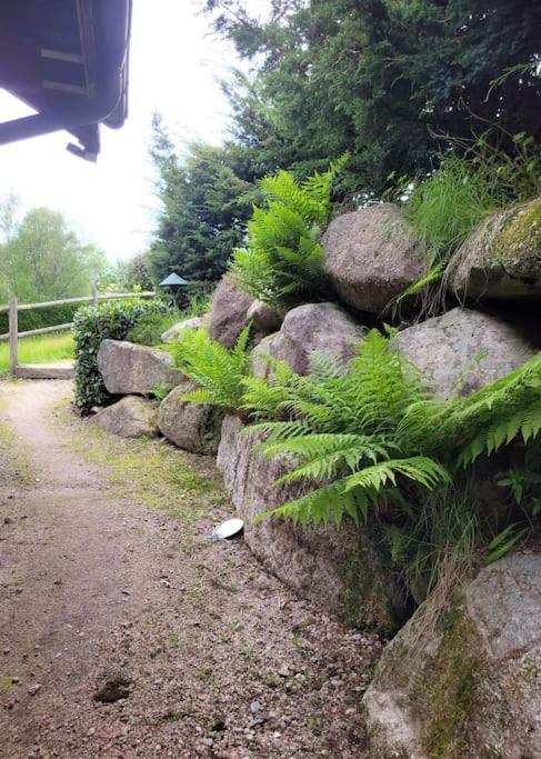Goutelle, Paisible En Pleine Nature Chalet Gérardmer